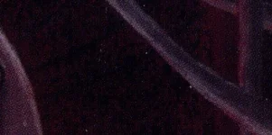 1712503902063.webp
