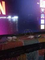 17125397676586703354526615054102.webp