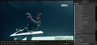 SONY GEM.png