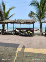 1000005129.webp