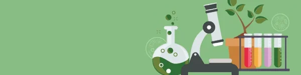 google-classroom-banner-green.webp