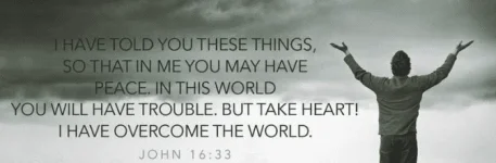 1713179457449.webp