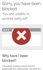 Screenshot_20240418_193355_Samsung Internet.webp