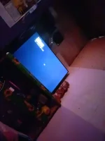 17134959731387216667454062159934.webp 17134959731387216667454062159934.webp