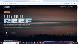 1713503341168.webp