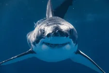 1713622746710.webp 1713622746710.webp