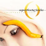 A Perfect Circle - 2003 - Thirteenth Step.webp
