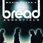 Album Cover.webp