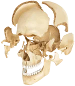 1714003424044.webp