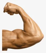 1714047625807.webp