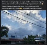 1714207185825.webp