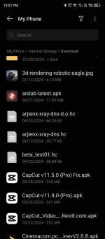 Screenshot_20240430-220153.webp