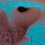 Meddle.webp Meddle.webp