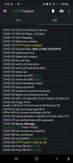 Screenshot_20240509-180348_HTTP Custom.webp