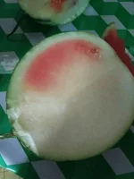 1715262621190.webp