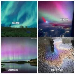 1715570961803.webp