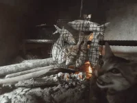 1715736816935.webp