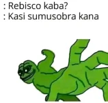 1000786896.webp