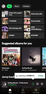 Screenshot_20240515_141250_Spotify.webp