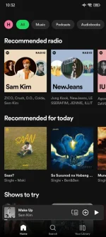 Screenshot_2024-05-17-10-32-30-449_com.spotify.music.webp