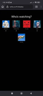 Screenshot_2024-05-22-21-35-48-512_org.mozilla.firefox.webp
