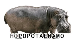 1716771344385.webp