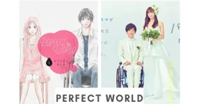 Perfect World (2019).png