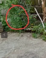 Screenshot_2024-05-31-17-57-16-43_e4424258c8b8649f6e67d283a50a2cbc.webp