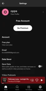 Screenshot_20240602_015552_Spotify.webp