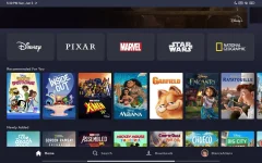 Screenshot_2024-06-02-17-30-54-196_com.disney.disneyplus.webp