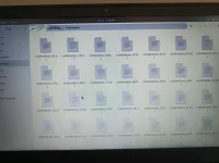 1000000318.webp