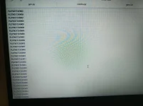 1000000320.webp