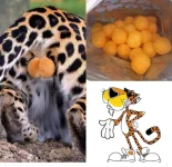 1717544798439.jpeg
