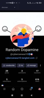 Screenshot_2024-06-07-13-17-25-502_com.android.chrome.webp