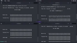 Screenshot from 2024-06-05 17-32-37.webp