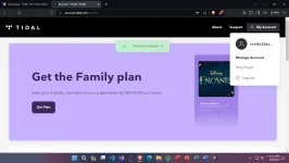 Screenshot 2024-06-08 191325.webp