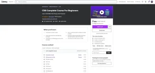 ss udemy.webp