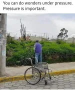 FB_IMG_1717919307409.webp