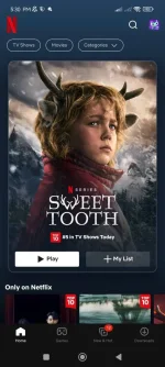 Screenshot_2024-06-13-17-30-21-329_com.netflix.mediaclient.webp