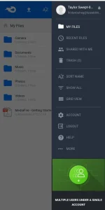 Screenshot_2024-06-19-06-43-03-218_idm.internet.download.manager.plus-edit.webp