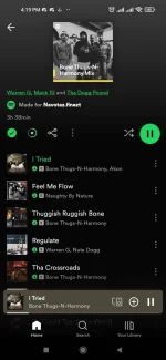 Screenshot_2024-06-20-16-19-13-552_com.spotify.music.webp