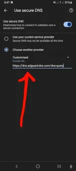 Screenshot_20240621-174740_Chrome.jpg