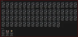 1719115110796.webp