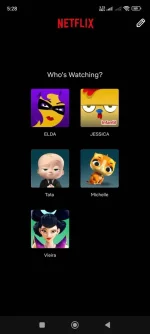 Screenshot_2024-06-23-17-28-32-596_com.netflix.mediaclient.webp