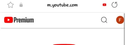 Screenshot_20240624_195304_Samsung Internet.webp