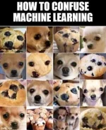 Confuse The AI.webp