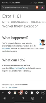 Screenshot_2024-06-25-06-43-17-323_com.brave.browser.webp