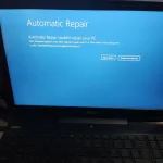 17192800560088202331196482773696.webp