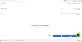 ss1.webp