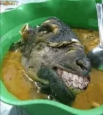 1719373464230.webp